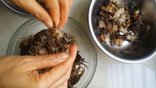 Cách nấu canh mồng tơi tốt cho bà đẻ